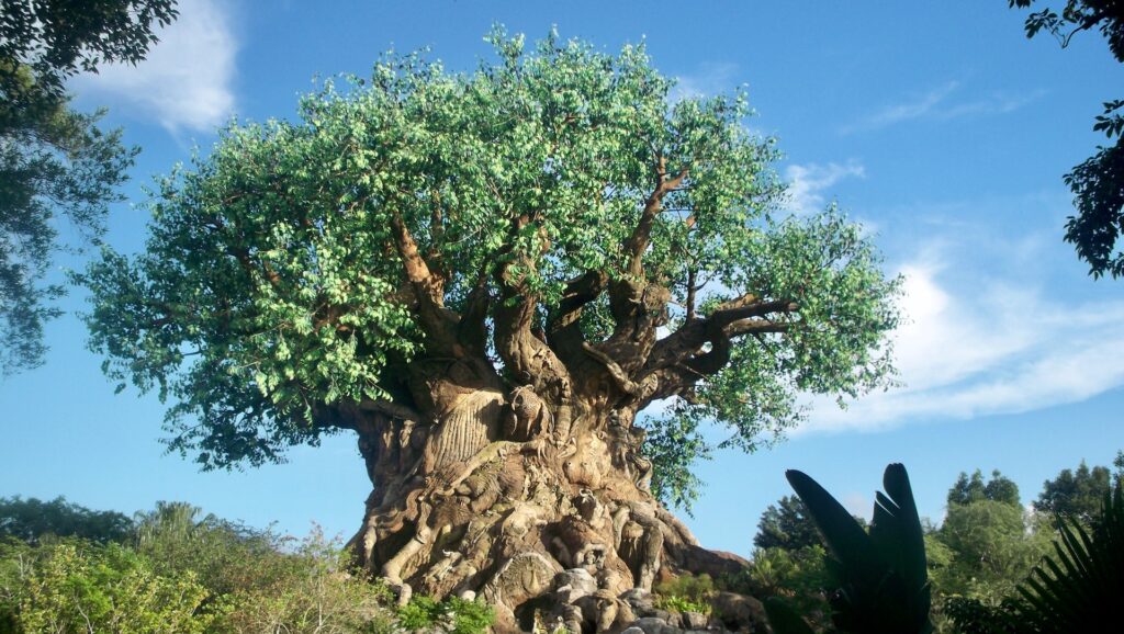 Tree of Life, Animal Kingdom