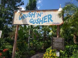 Crush 'n' Gusher at Disney's Typhoon Lagoon Water Park
